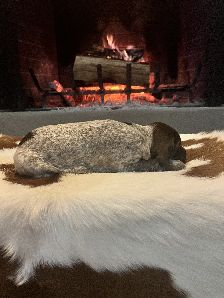 RUBY X MAXIMILLIAN'S JANE