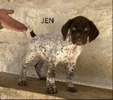 Jen