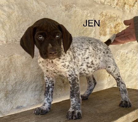 Jen