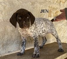Jen