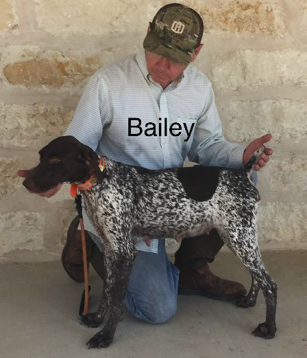 Bailey