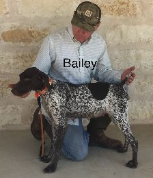Bailey