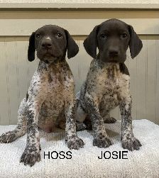 Hoss and Josie