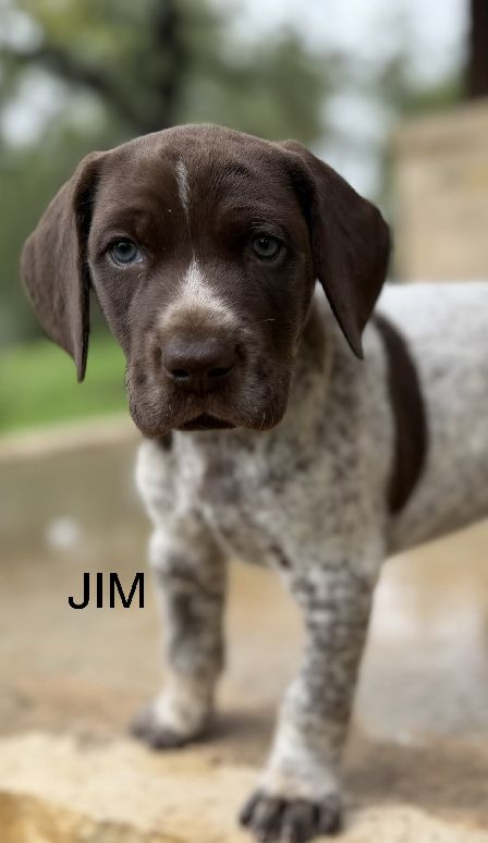 Jim