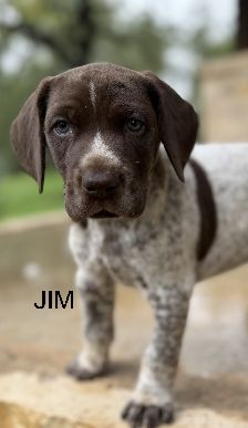 Jim