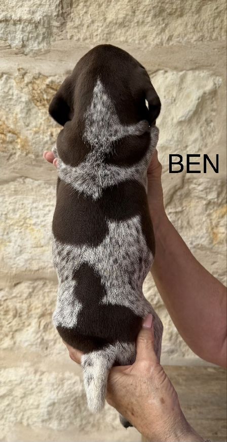 BEN