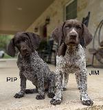 IMG_1732.JPEG