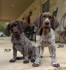 Rip and Jim