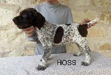 HOSS