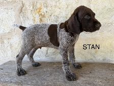 Stan