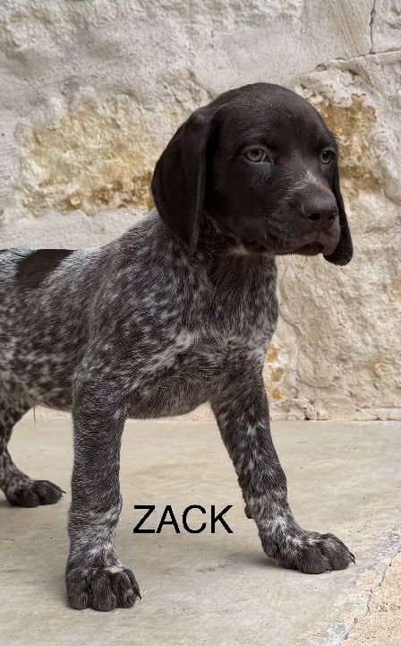 Zack