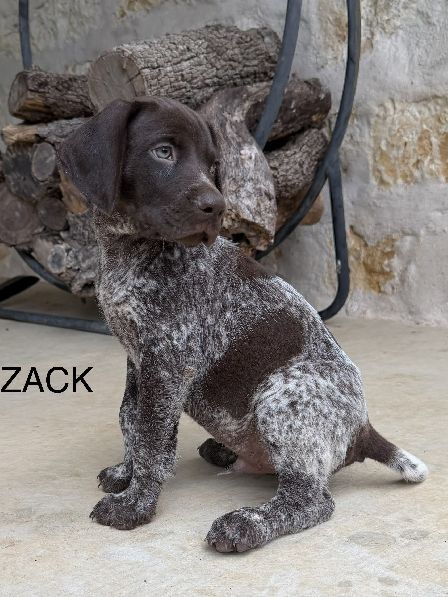 Zack