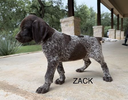 Zack