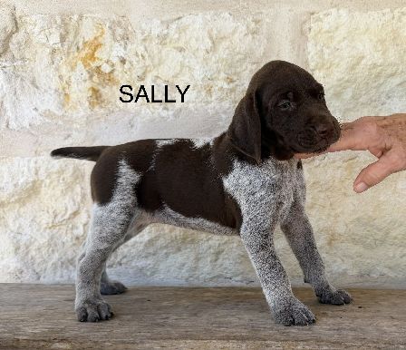 SALLY