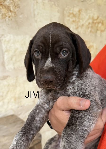 Jim