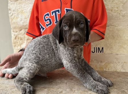 Jim