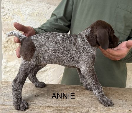 ANNIE