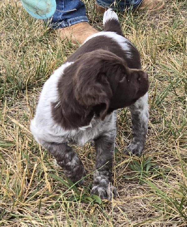 French Brittany