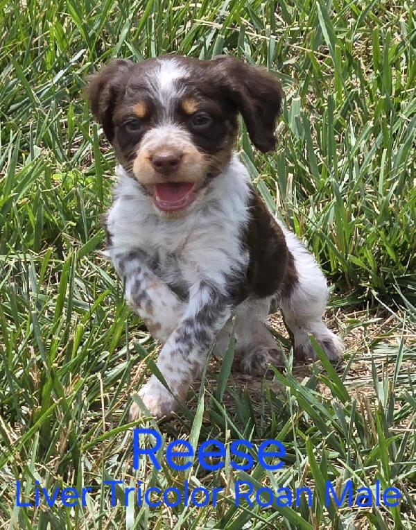 RESERVED