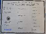 20260615_162923.JPG