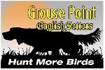GROUSE POINT ENGLISH SETTERS