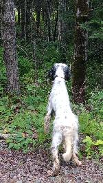 20250804_110424.jpg