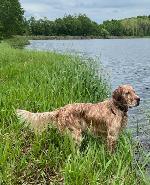 IMG_20250804_212716.jpg