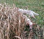 IMG_20260123_095637 (1).jpg