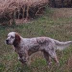 IMG_20260607_202616 (1).jpg