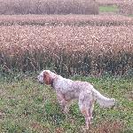 IMG_20260607_202616.jpg