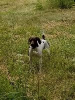 20170710_083234 (2).jpg