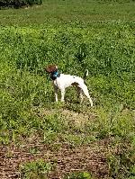 20180726_084739 (2).jpg