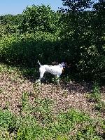 20180723_104406 (2).jpg