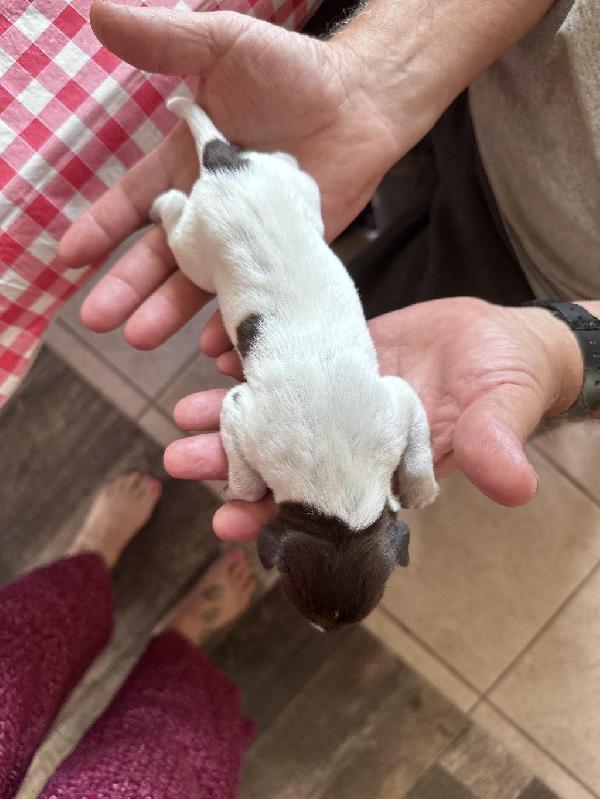 71786655903__4E1C1FCB-1C16-42B6-A12A-541245B8