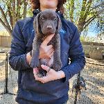 Butters Available.jpg