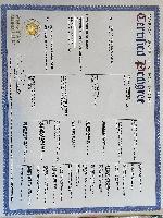 GSP PUPPIES STARR & ROSCOE