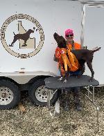 RESERVE YOUR 2027 GSP PUPPY NOW!