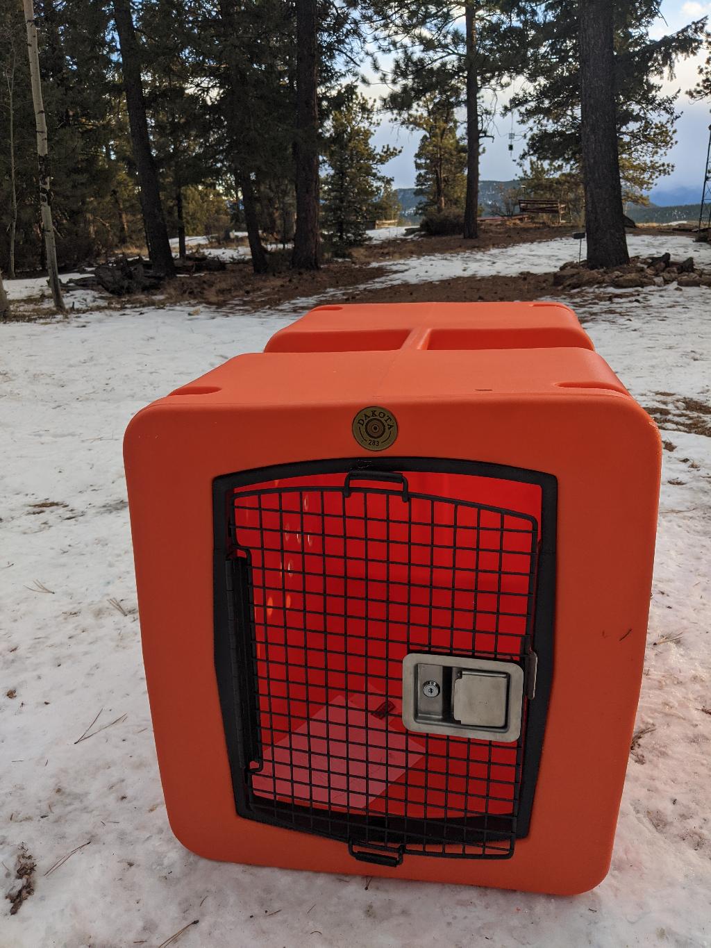 HUNTING DOGS FOR SALE Gun dogs, Bird Dogs, Field Dogs and Sporting Dogs.