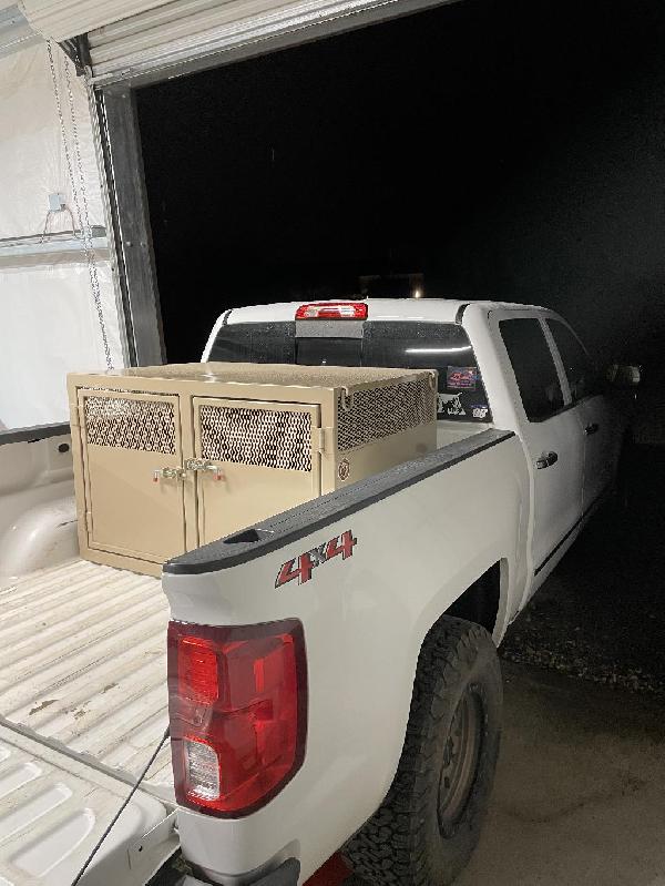 Custom Dog Boxes