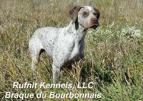 RUFNIT KENNELS, LLC RUFNIT KENNELS, LLC