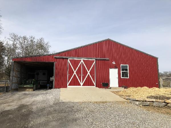 HOME OF PURSUIT BRITTANYS