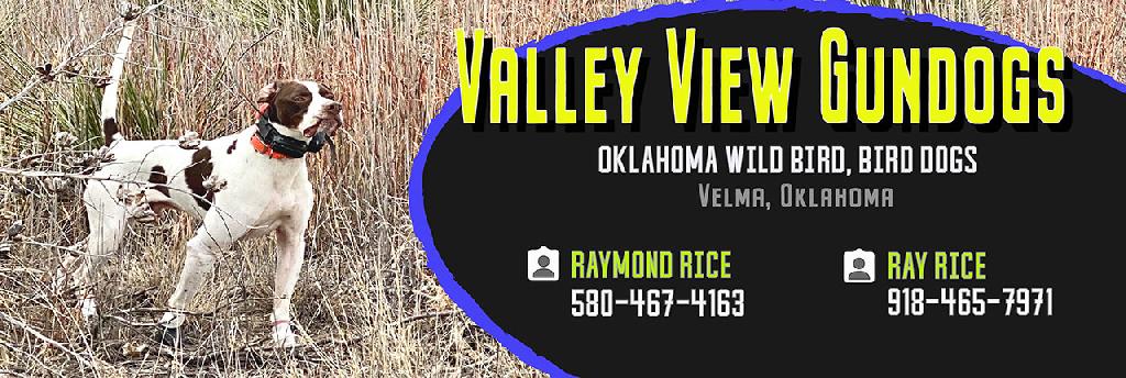 VALLEY VIEW GUNDOGS VALLEY VIEW GUNDOGS