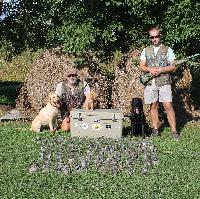 OPENING DAY OF DOVE SEASON