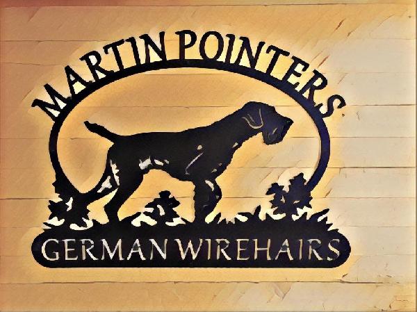 MARTIN POINTERS