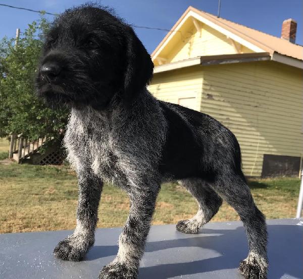 LAST FEMALE AVAILABLE!