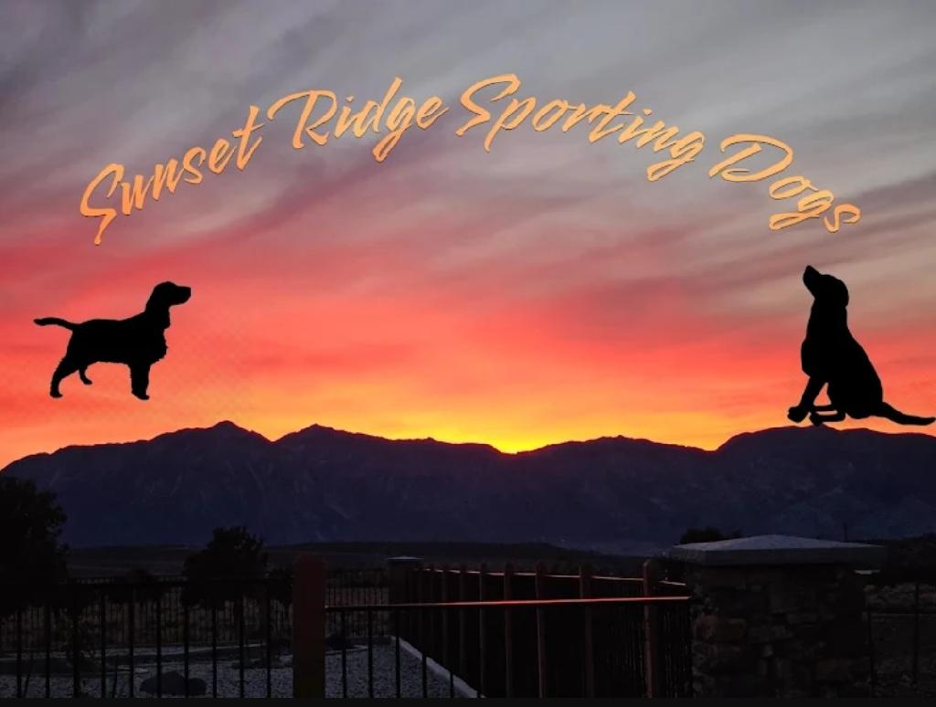 SUNSET RIDGE SPORTING DOGS SUNSET RIDGE SPORTING DOGS