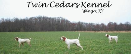 TWIN CEDARS KENNEL TWIN CEDARS KENNEL