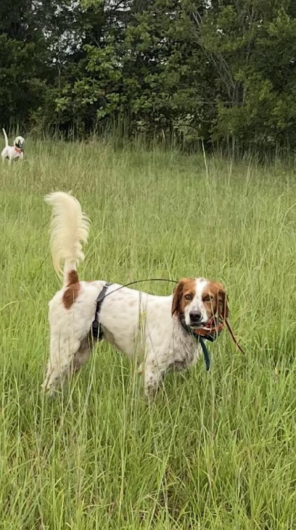 WYNONA’S NICKELBACK MICKEY