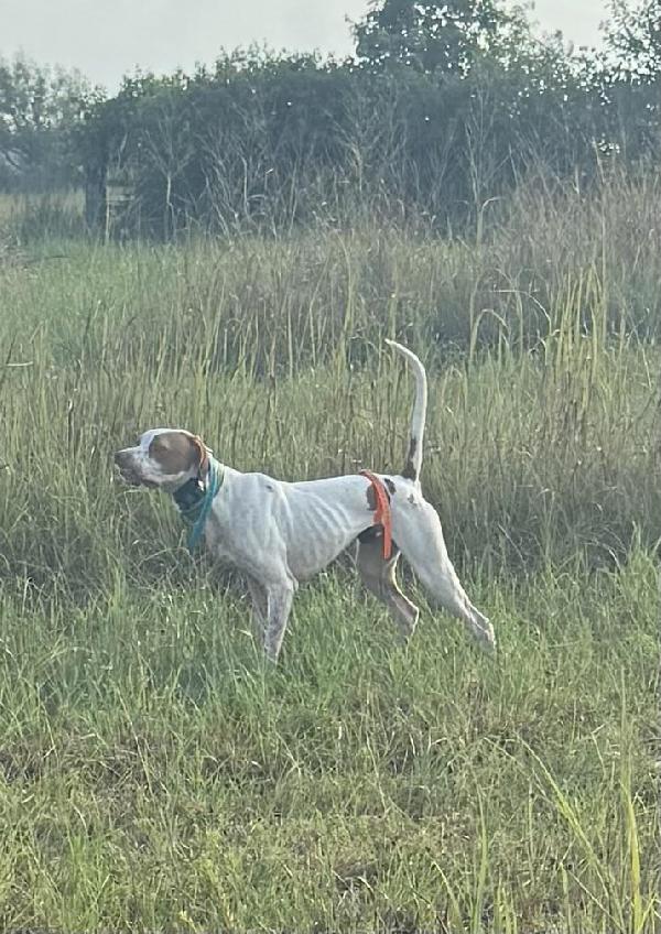 SNOW’S UNDER PRESSURE