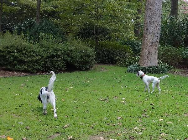 BUDDY AND IRIS HUNTING